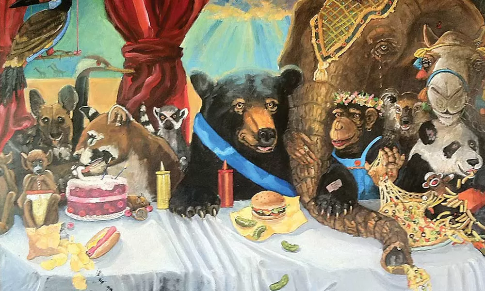 Curated Chaos: 20 Years of Collecting