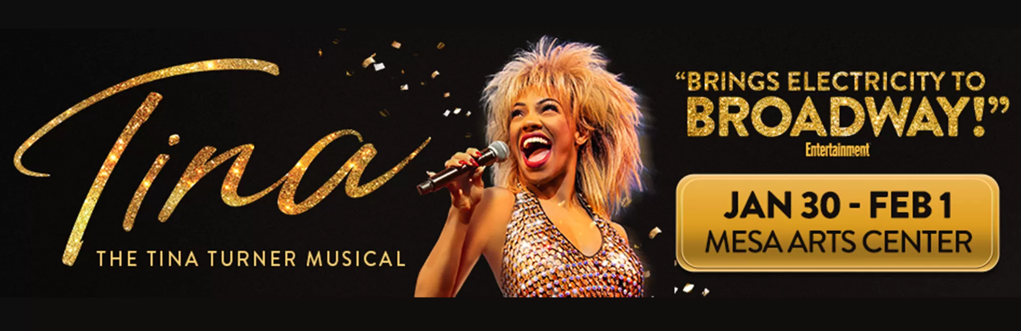 TINA – The Tina Turner Musical Broadway Tour