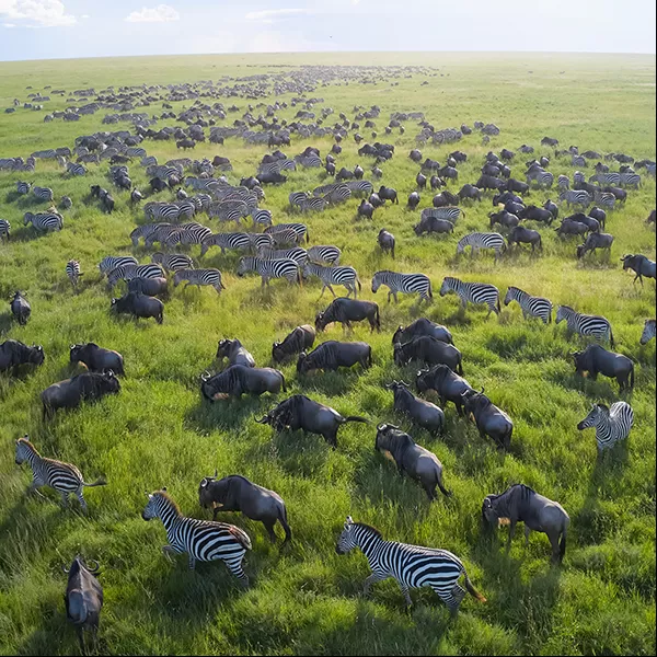 National Geographic Live: Life on the Move