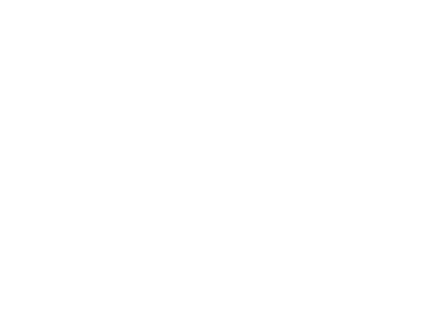 Steele Foundation